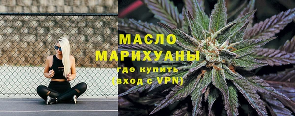 твердый Заводоуковск