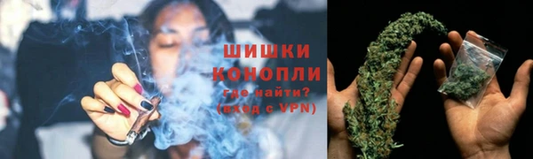 твердый Заводоуковск