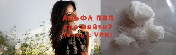 твердый Заводоуковск