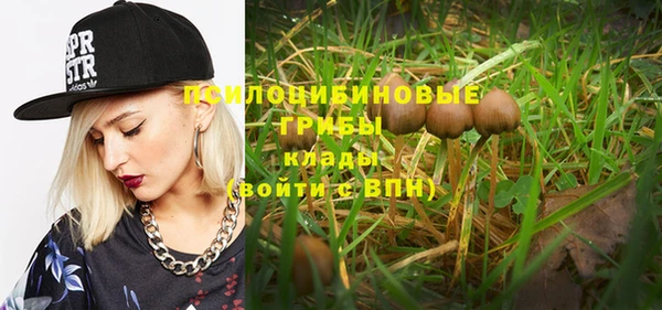 прущие крисы Тында