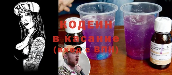 твердый Заводоуковск